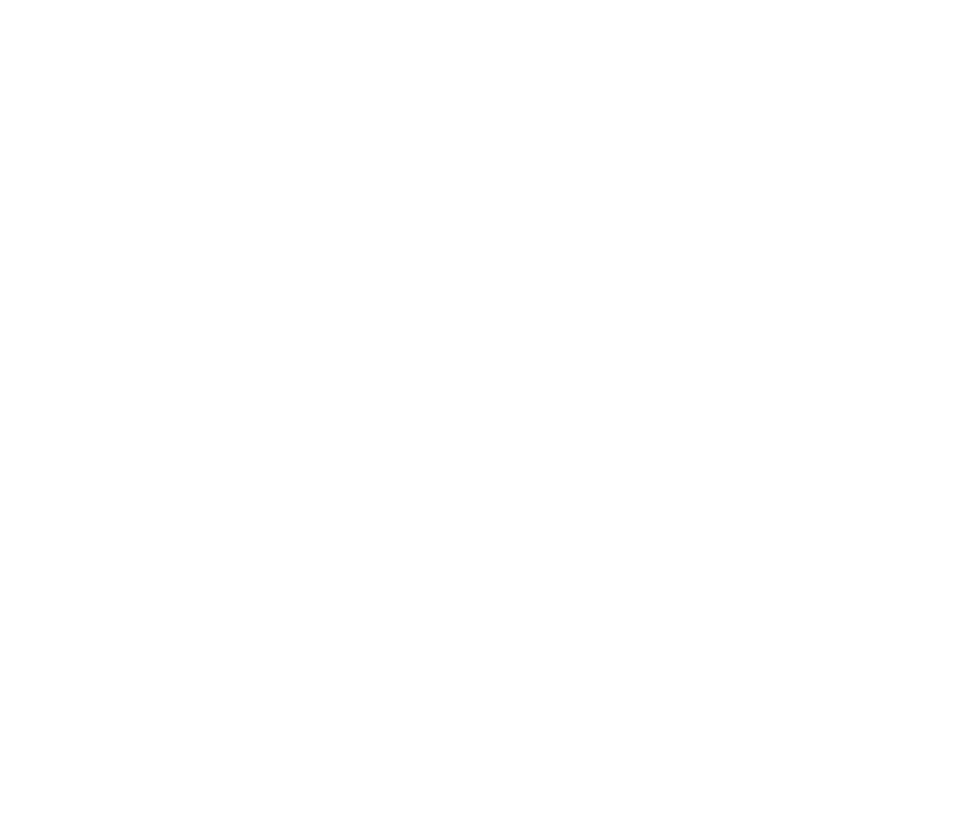 Годен к нестроевой