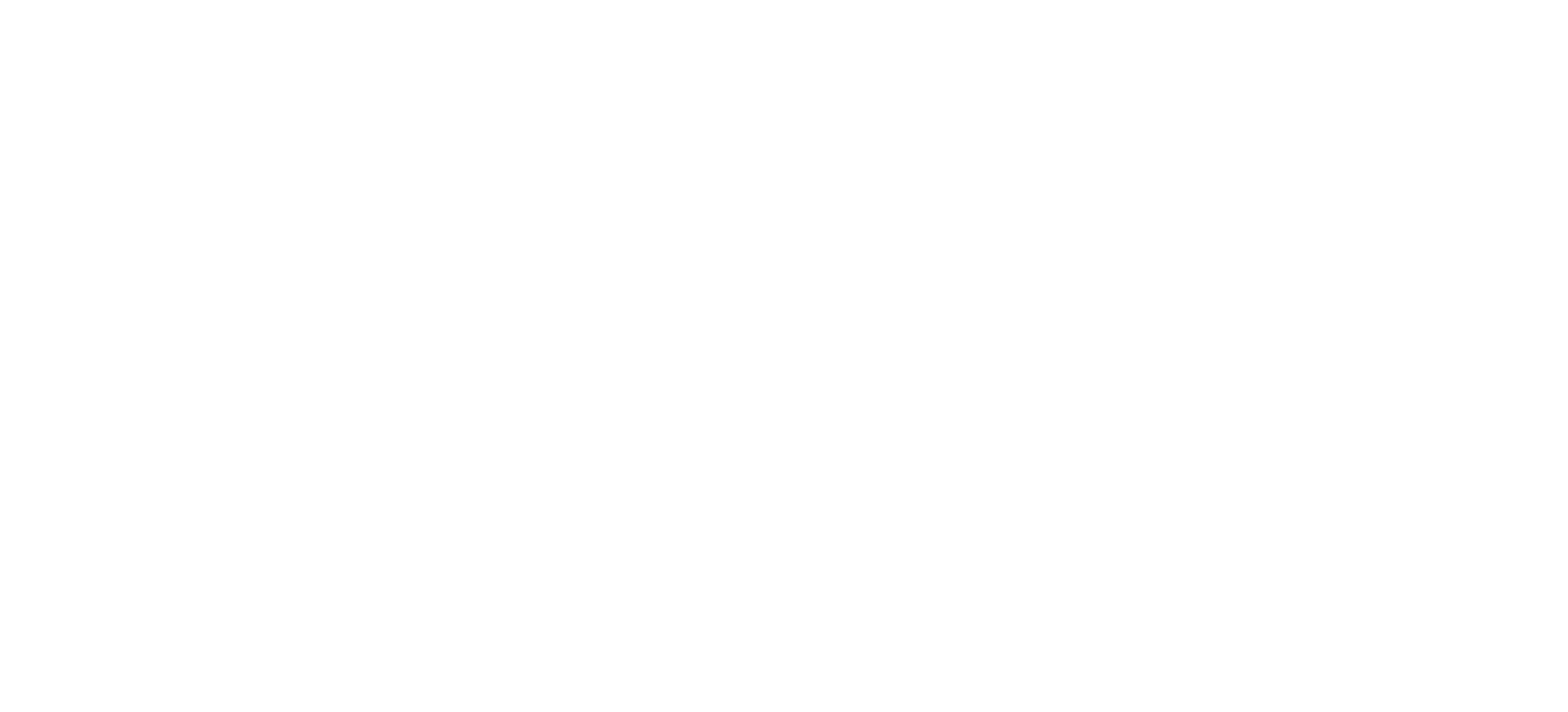Ночной конвой