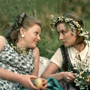 Лазаревское ауылындағы жезөкшелер