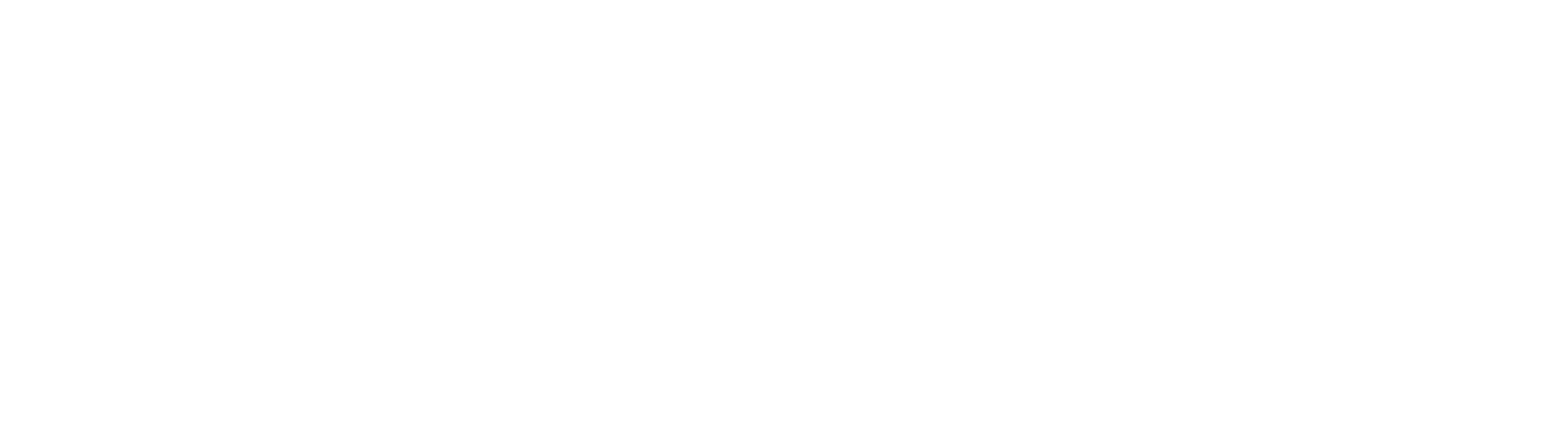 Жена художника
