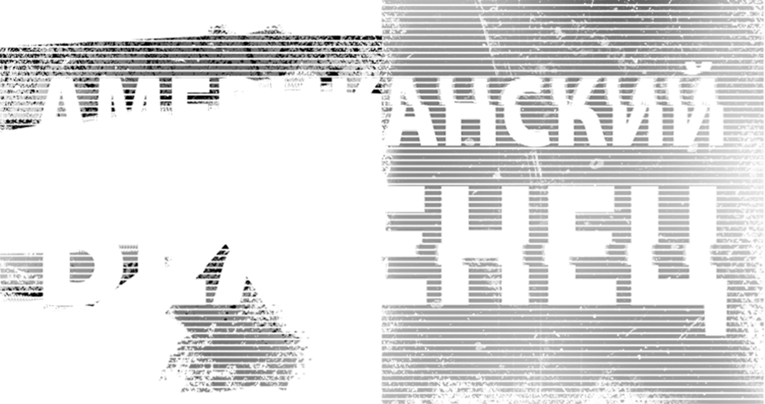 Американский беженец