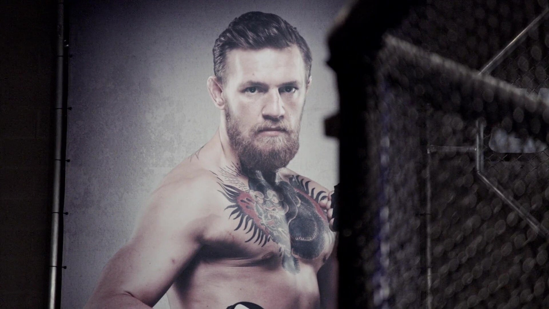 The Ultimate Fighter — серия 12