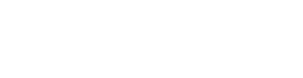 Баксы