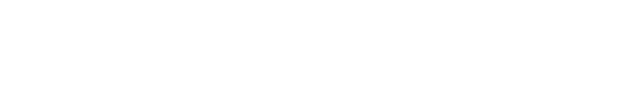 Быстрые стволы