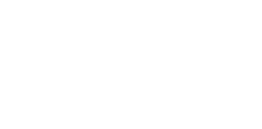 Побег из тюрьмы Мейз