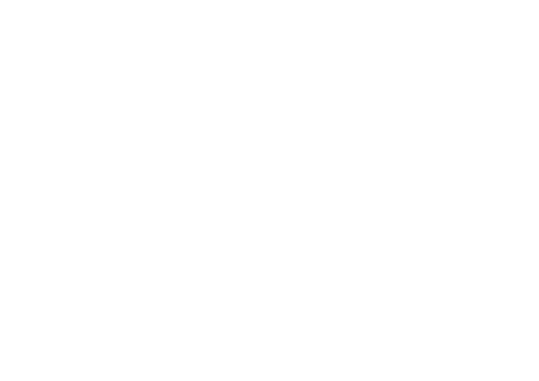 14+