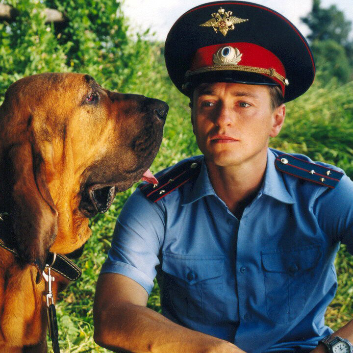 Фон фильма «Участок»