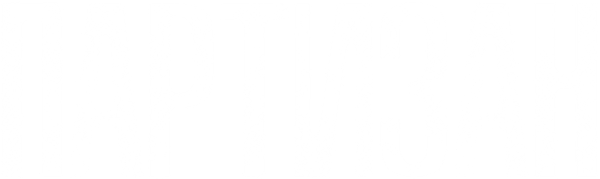 Партизан