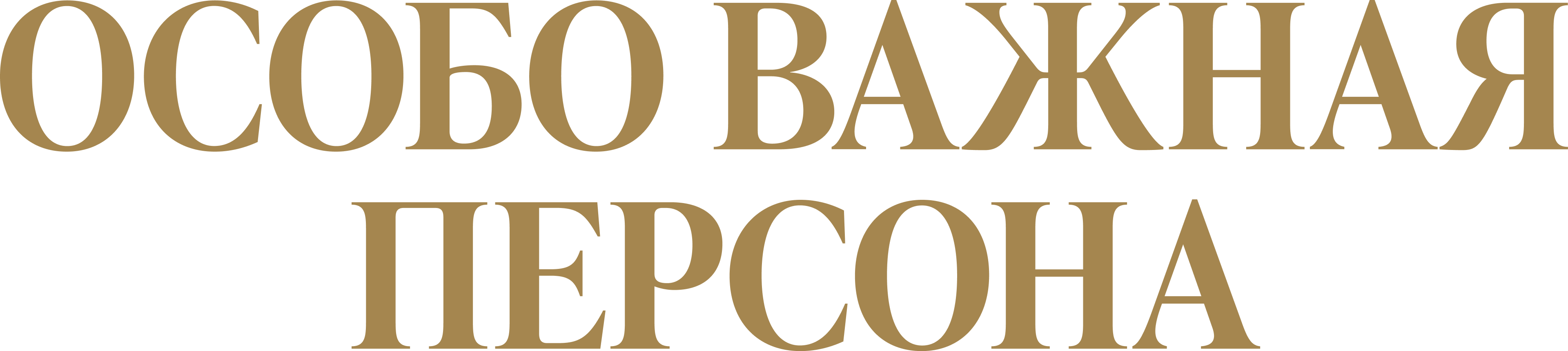 Особо важная персона