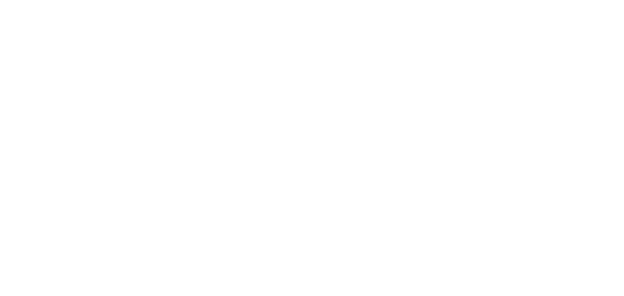 Во всем виноват енот