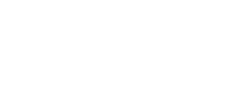 Город шпионов