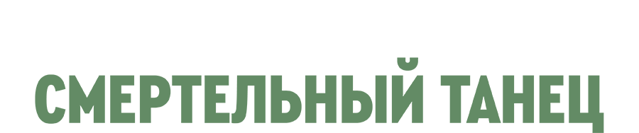 Участок лейтенанта Качуры. Смертельный танец
