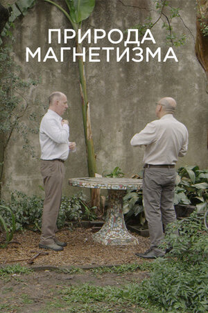 Природа магнетизма