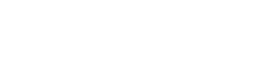 Отель «Феникс»