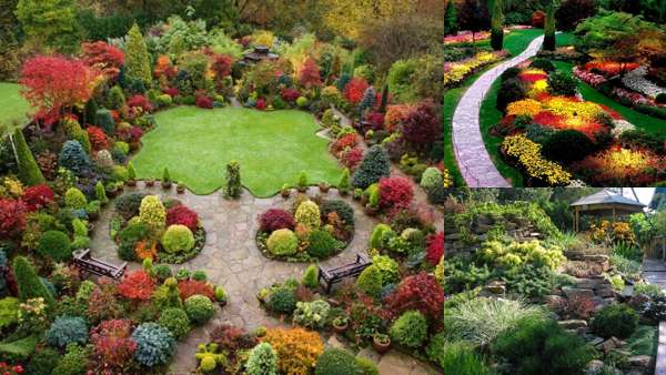 Дизайн сада и огорода своими руками с кустарниками