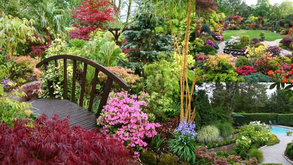 Красивые дачные участки с кустарниками