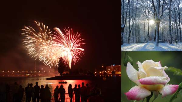 Сафари парк тайган: фото, изображения и картинки