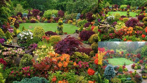 Ландшафтный дизайн