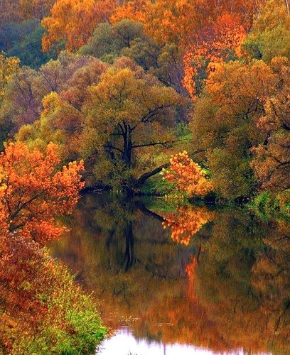 Осенний Сентябрь Фото