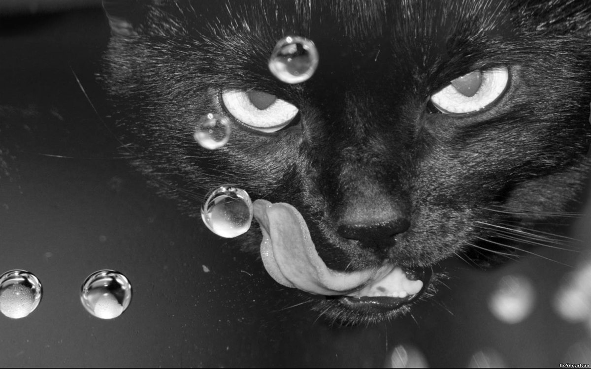 �������� �� ������� ���� ���������� ������