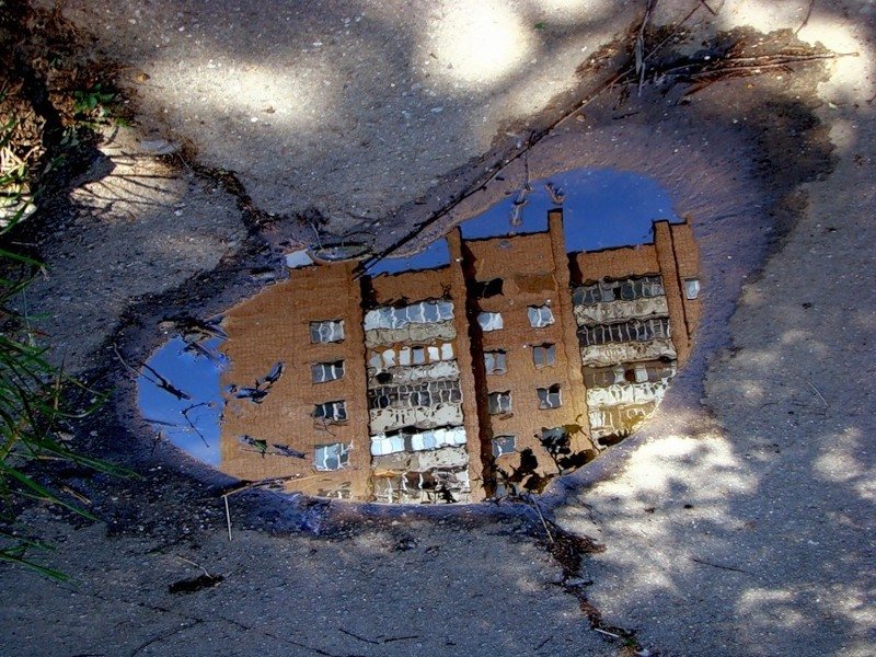 в лужах фото