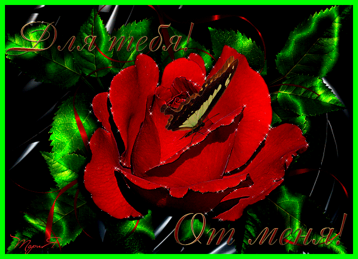 ��� �������� ���� ��� ����, ��������� ��������