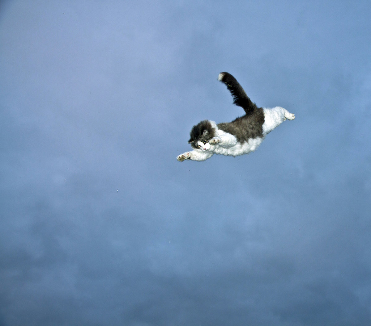 ����, �������� � �������� ������