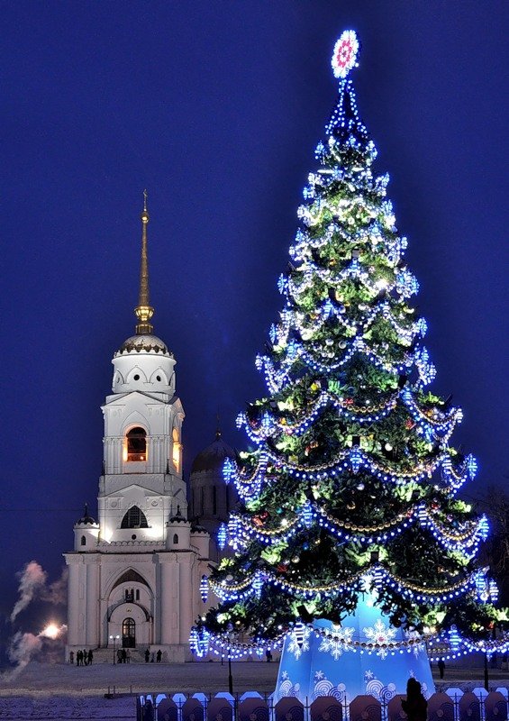 новогодняя ель фото