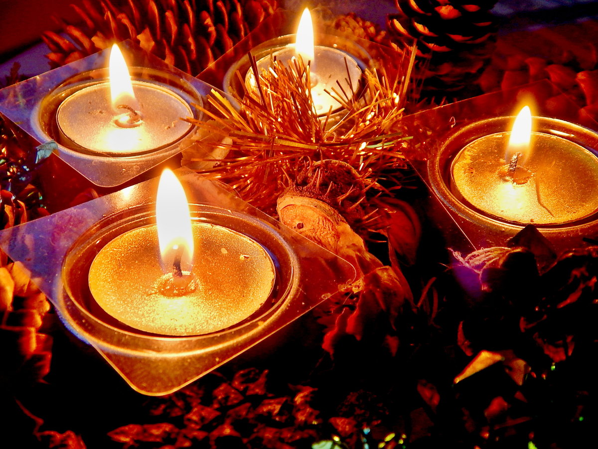 ����� �� ����� ���� �������� ����� ��������