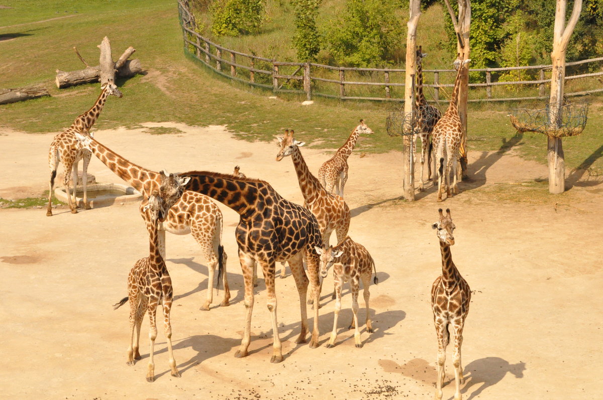 Новости покоряют сердца посетителей