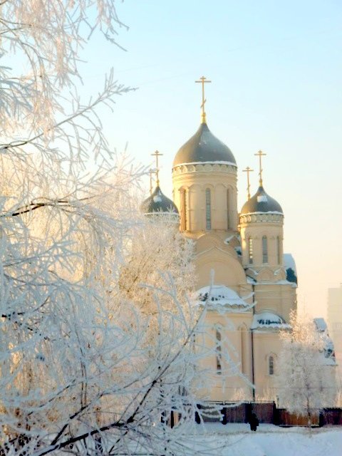 дивеево монастырь зимой фото