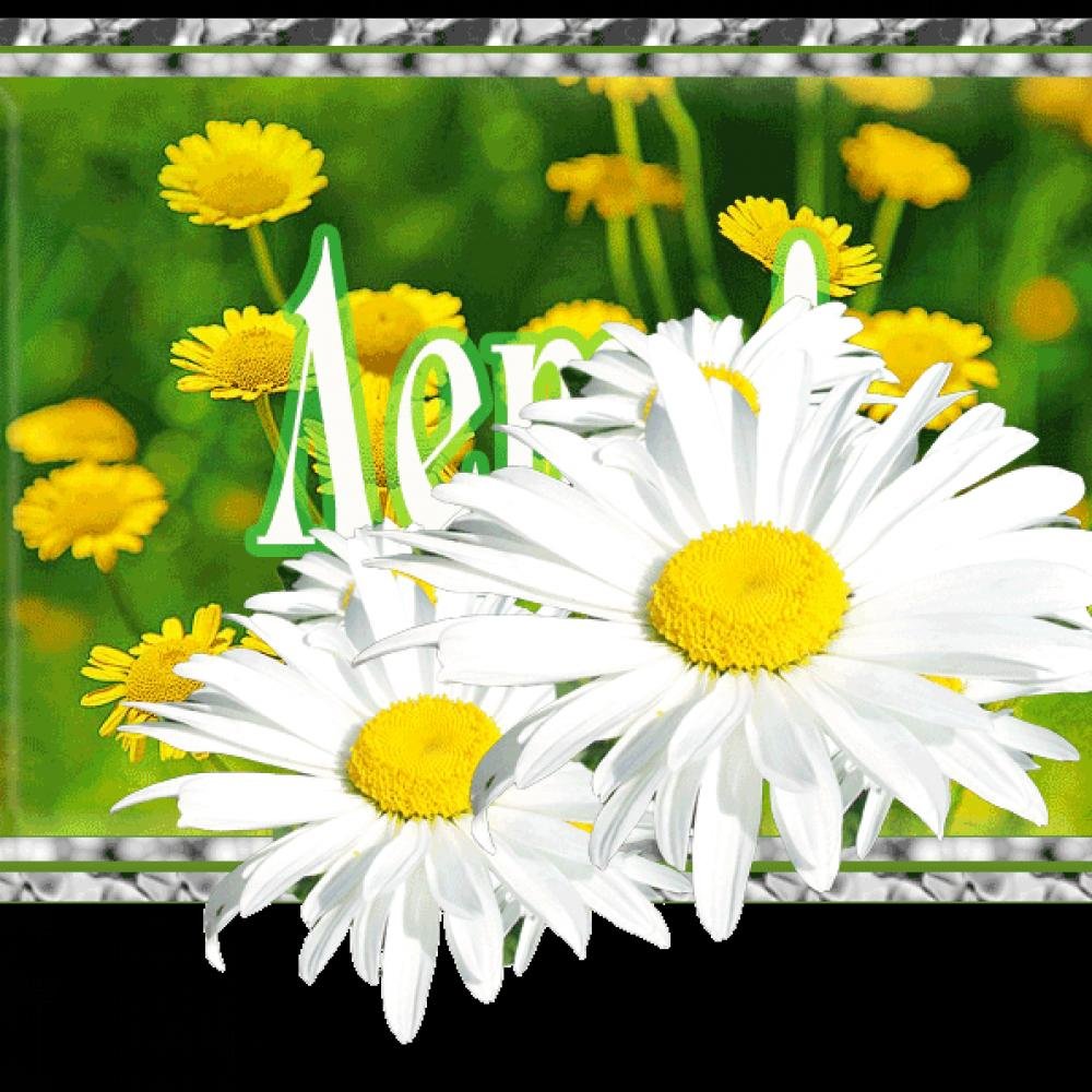 Красивые анимационные картинки о лете