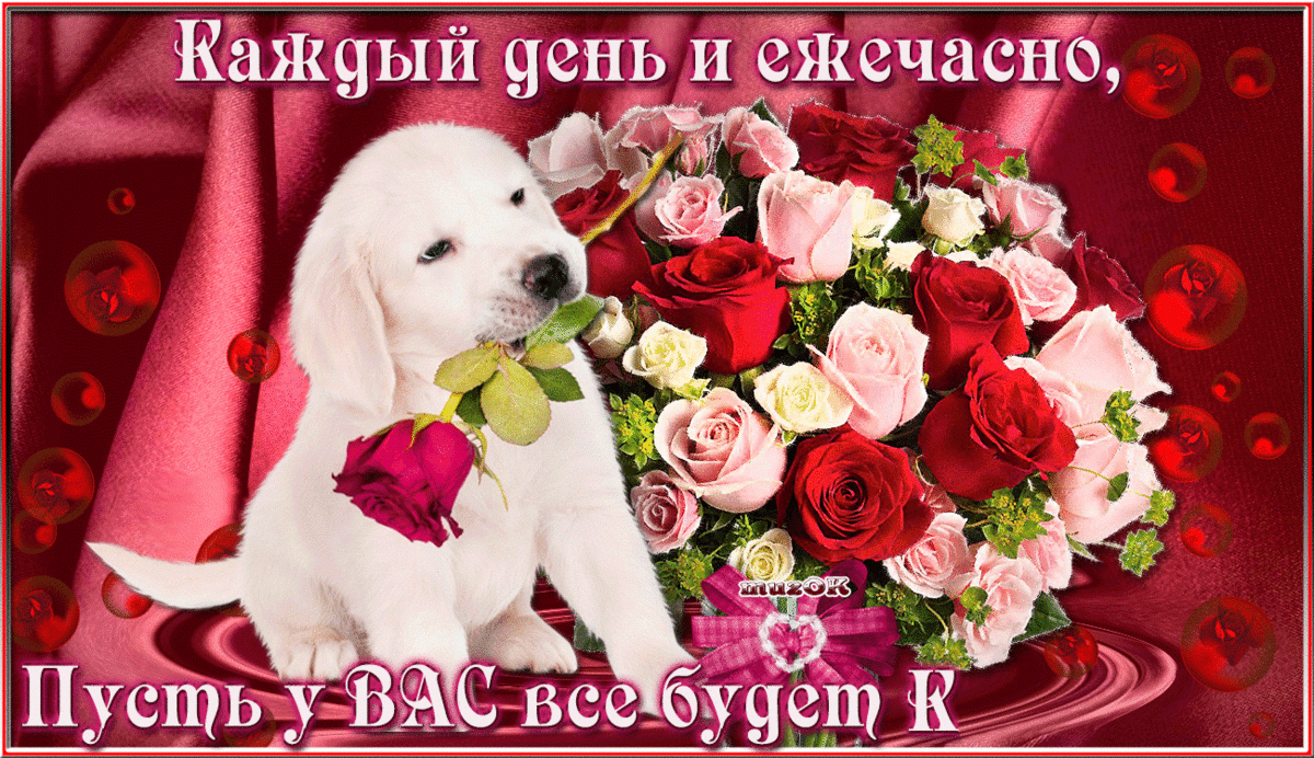 ������� �������� � ��������������