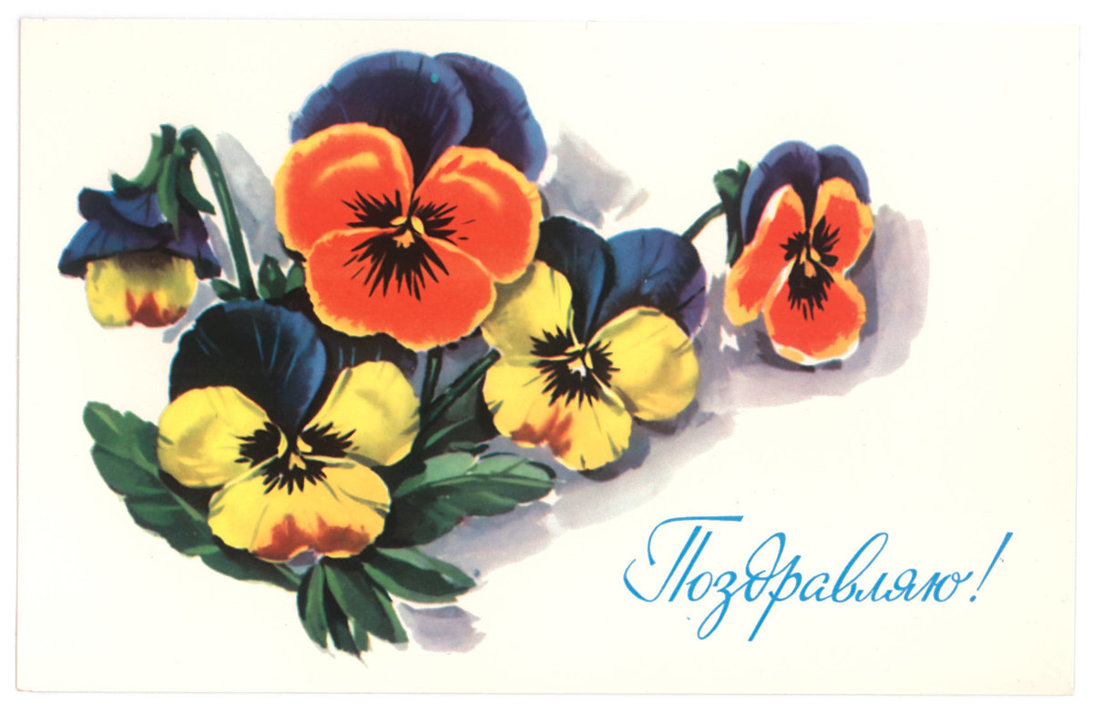 �������� � ���� �������� � ��������� ��������, ���������� ���������