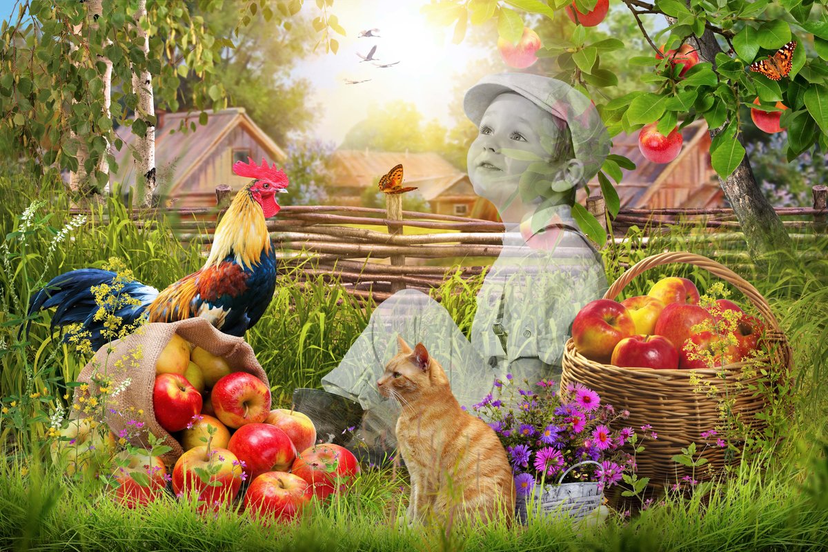 Деревенский пейзаж GalinaV Design