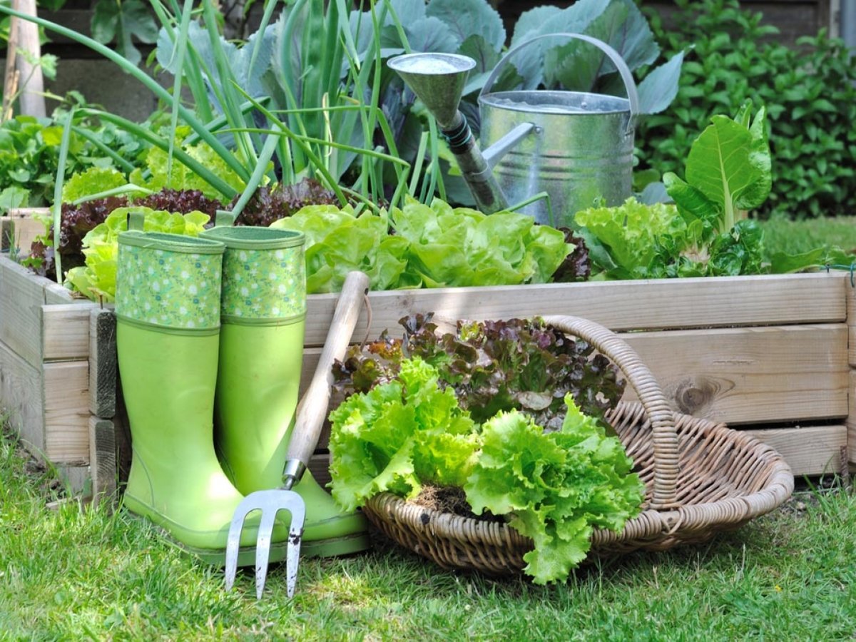 �������� ��� ��� � ������, ��������