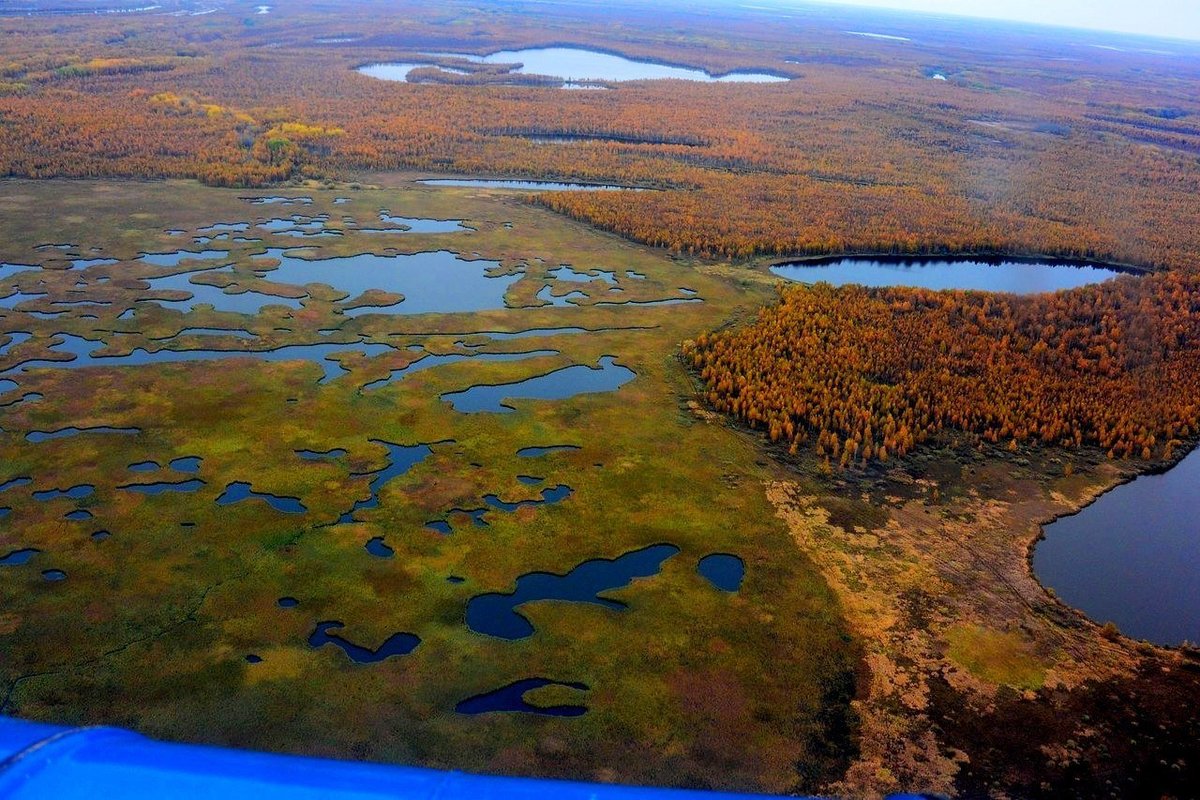 западно сибирская равнина васюганское болото фото