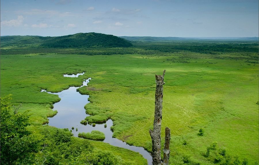национальный парк кусиро сицугэн фото