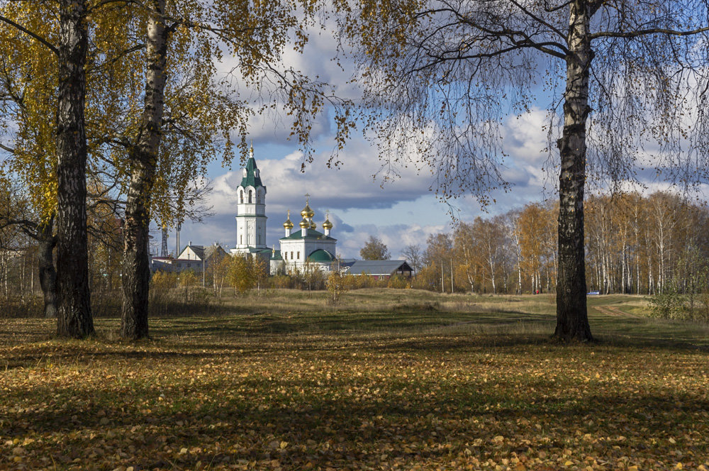 гребневский храм фрязино березы фото