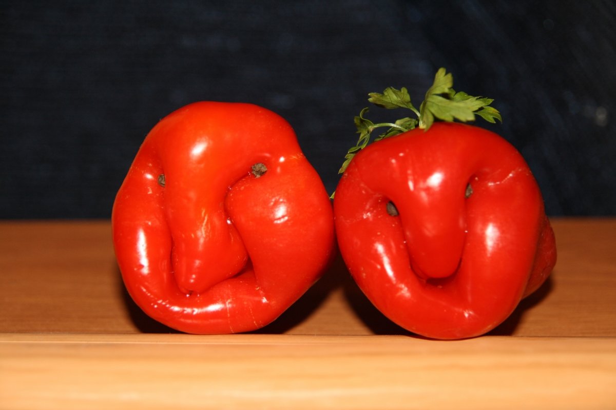 ��������, ����� �������� ����������