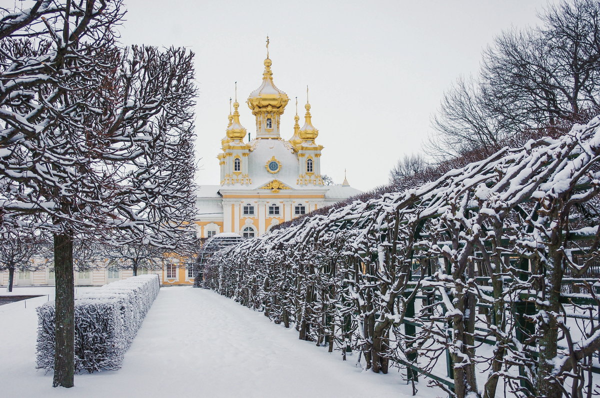 петергоф зимой фото