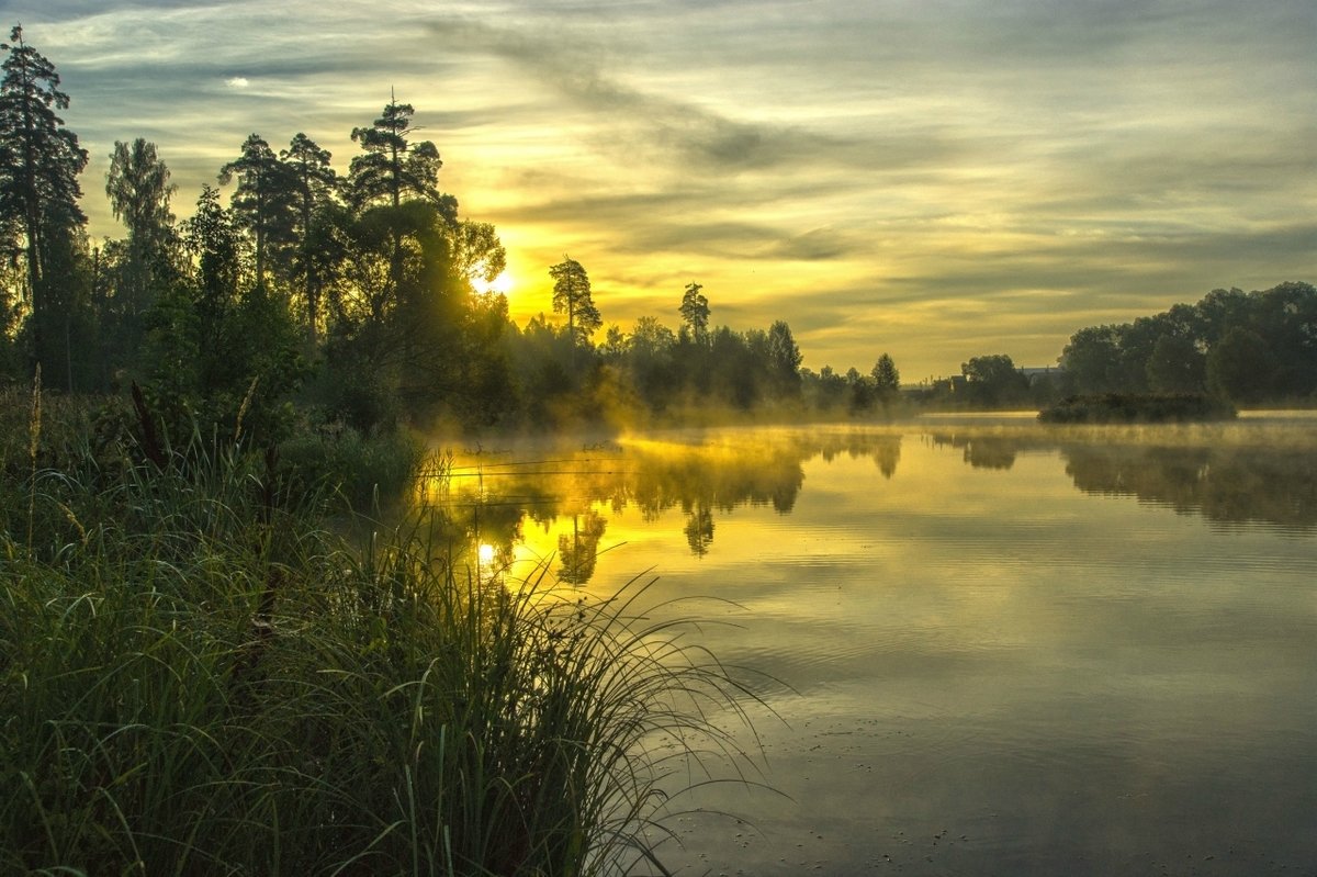 утро на озере фото