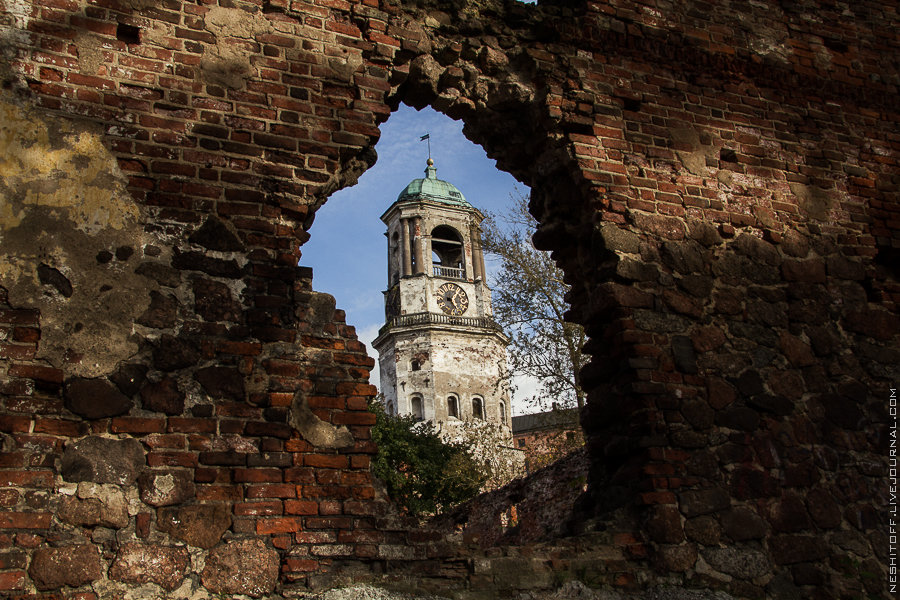 часовая башня выборг фото