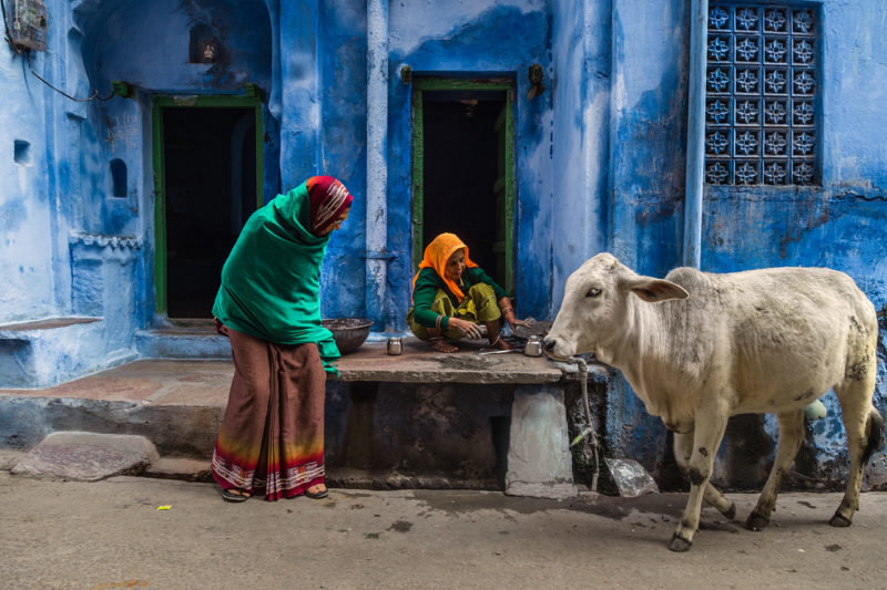 an india фото