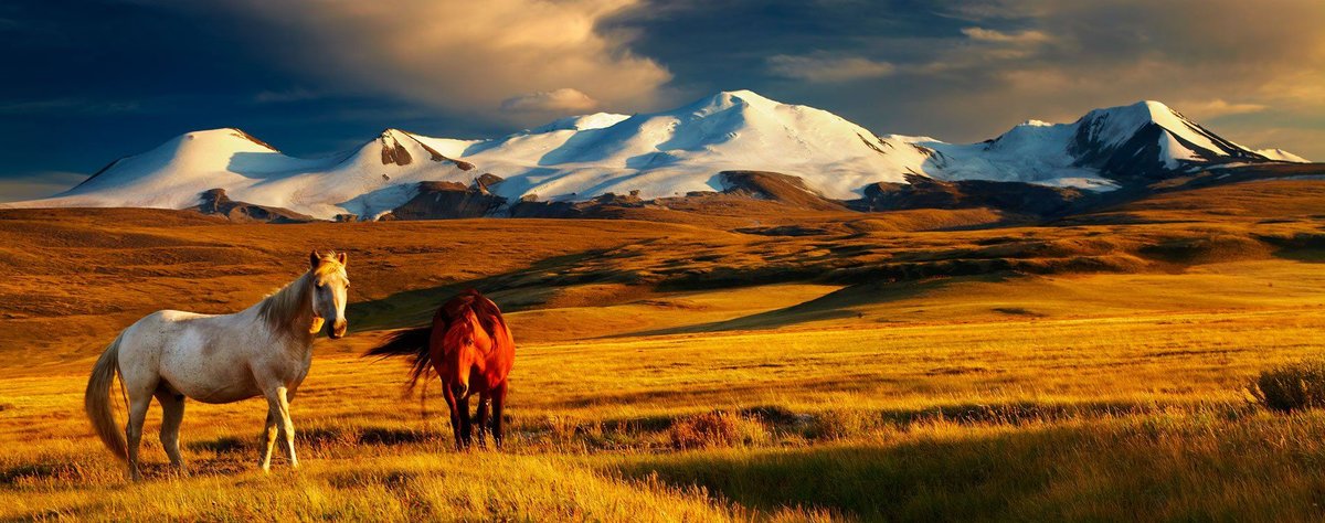 пейзаж горный фото