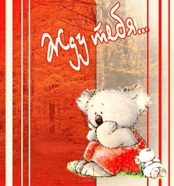 �������� �������� ������ �����, ��������