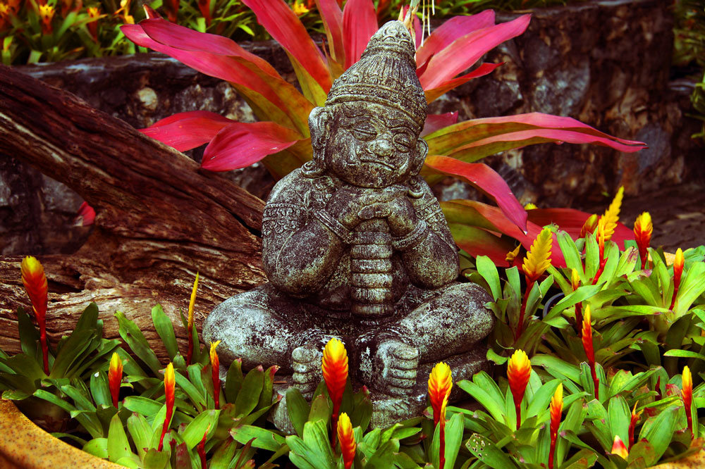 nong nooch фото