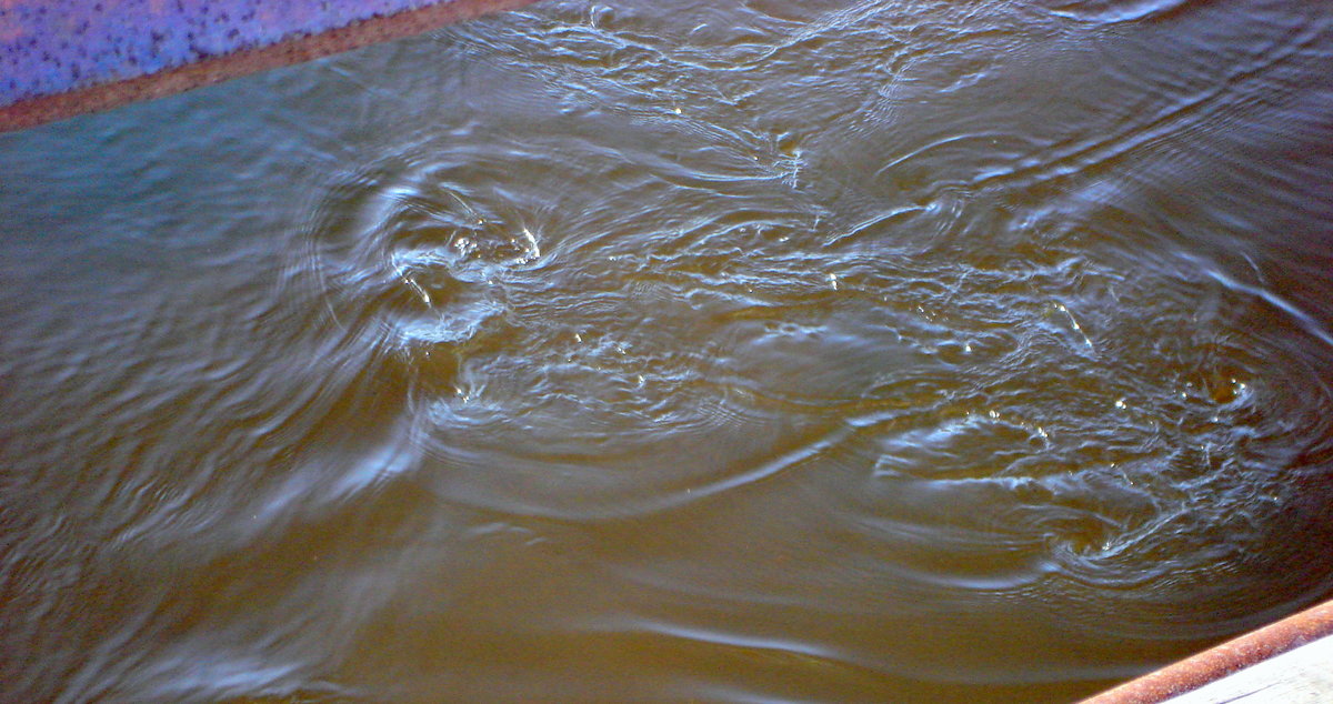вода в реке фото