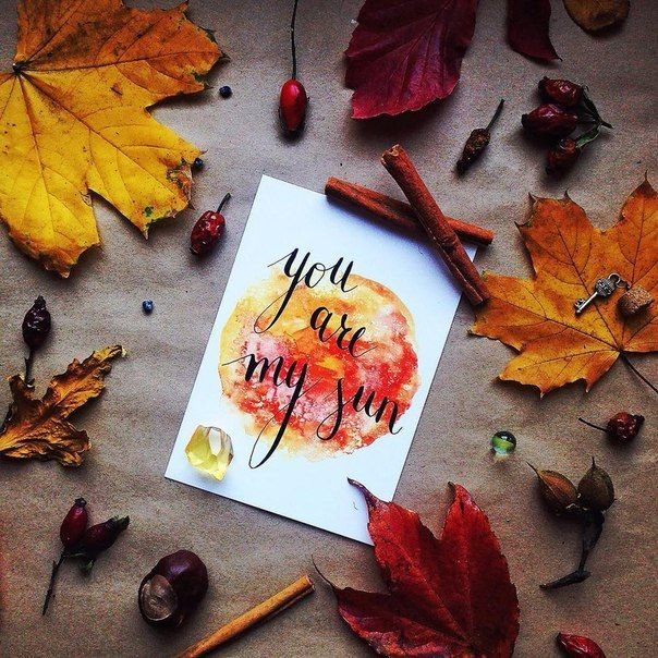 ���������� ������� ��������, ����� ������� ��������