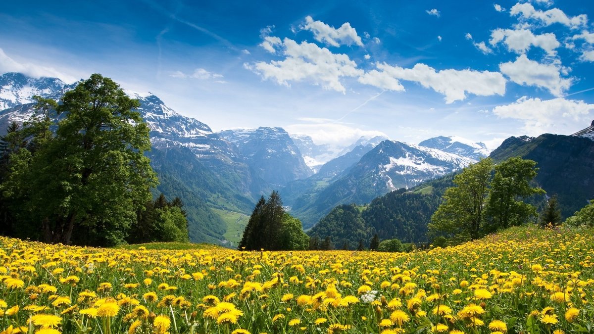 альпийские луга германии фото